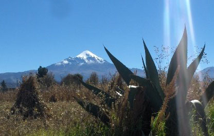 Pico de Orizaba and Meguey cactus