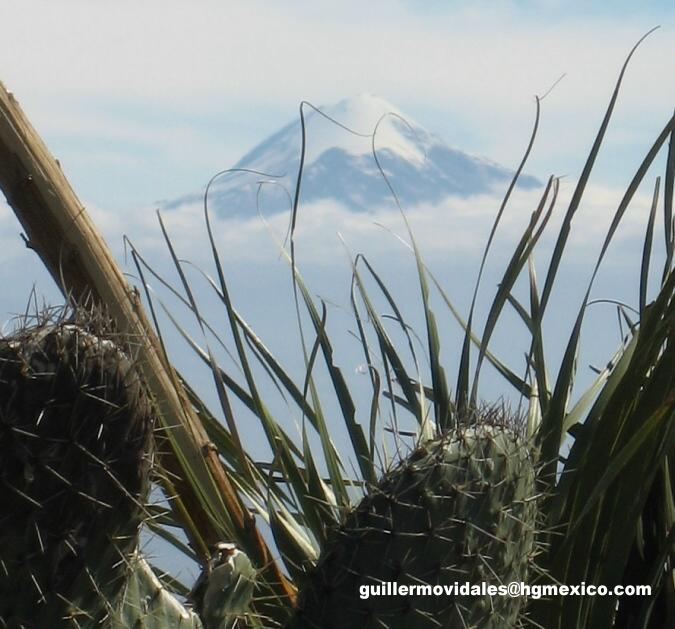 Pico de Orizaba from  Cantona